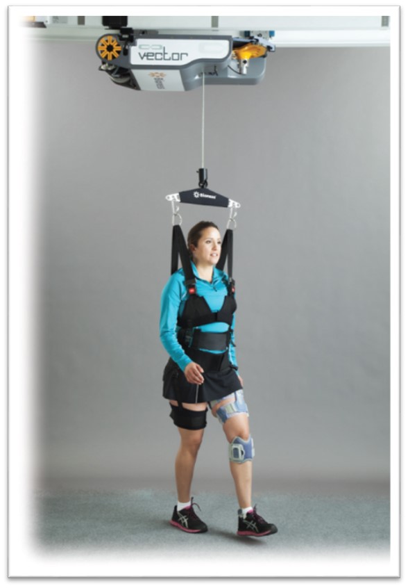 Rehabilitation Walking Device